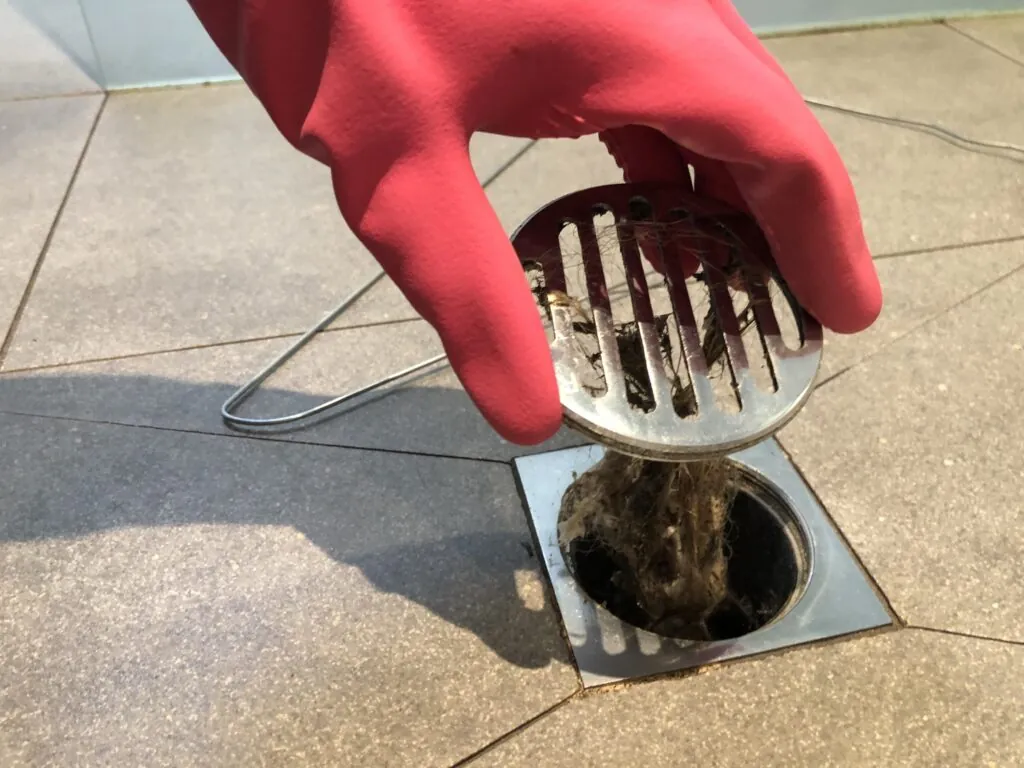 Close up of a gloved hand removing a shower drain cover clogged with hair